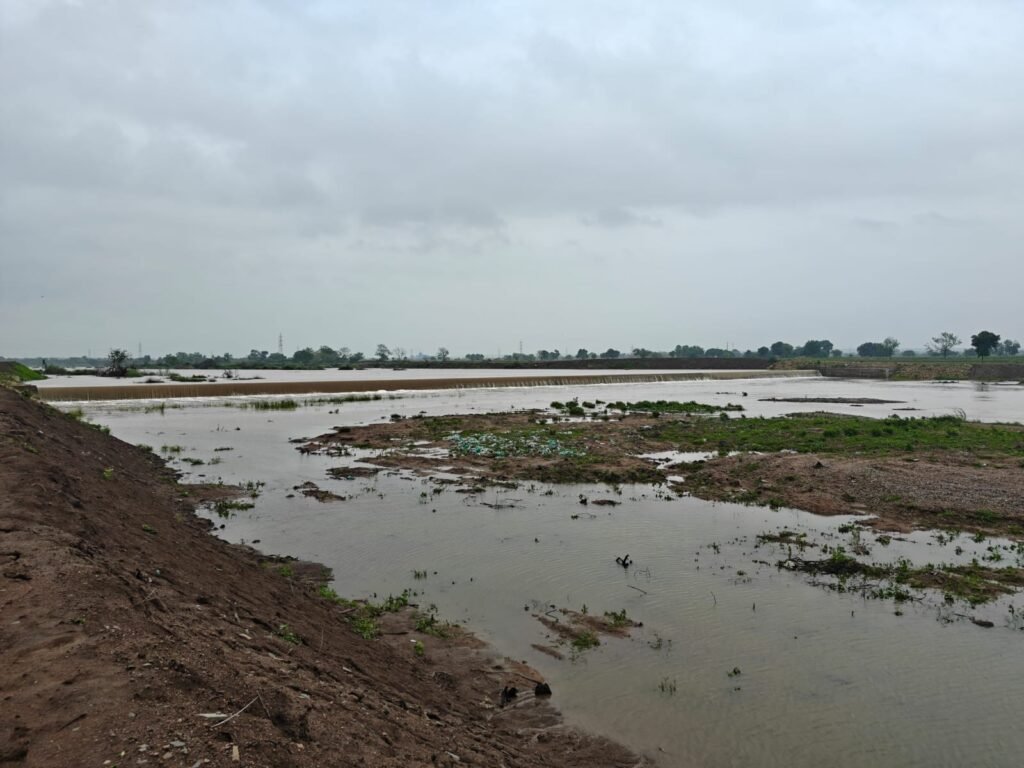 ఉప్పొంగిన కాగ్నానది వికారాబాద్