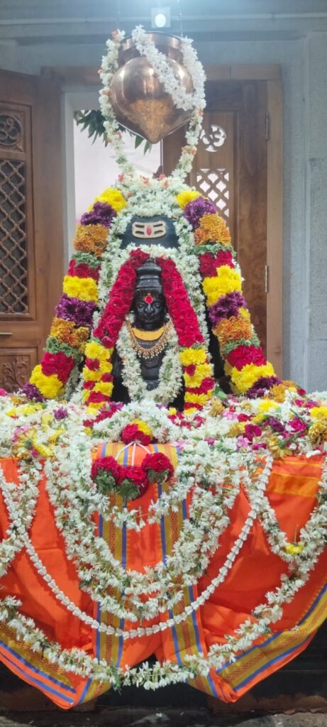 హోమాలు, రుద్రాభిషేకాలతో పశుపతి నాథుని వైభవం