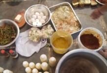 హైదరాబాద్ రెస్టారెంట్లలో బొద్దింకలు, ఎలుకలు 8 సంస్థల ఫుడ్ లైసెన్సులు సస్పెండ్