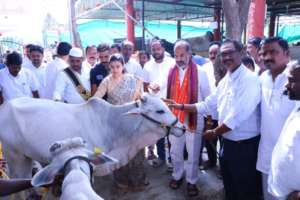 రాజన్న ప్రసాదంగా కోడెల పంపిణీ   భక్తులు పాలు మరవని చిన్న కోడెలను సమర్పించవద్దు    ప్రభుత్వ విప్, వేములవాడ ఎమ్మెల్యే ఆది శ్రీనివాస్  హాజరైన జిల్లా కలెక్టర్ గరిమ అగ్రవాల్