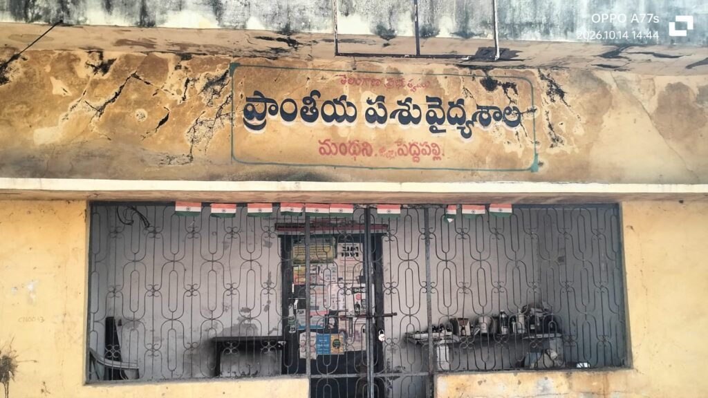 మంథని పశువైద్యశాలలో సమయపాలన ఏదీ?